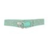 Ceinture élastique argenté, 7753 Gris Opaline Green - 7756-30916